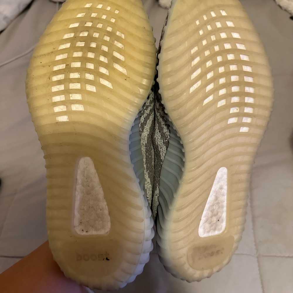 Yeezy 350 blue tint
